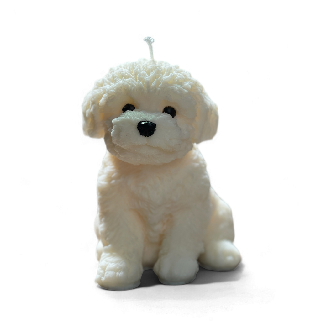 Cute puppy