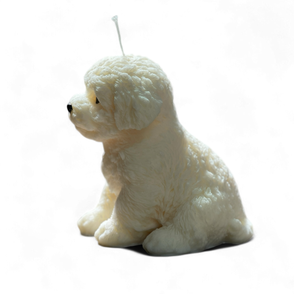 Cute puppy