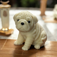 Shar Pei