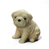 Shar Pei